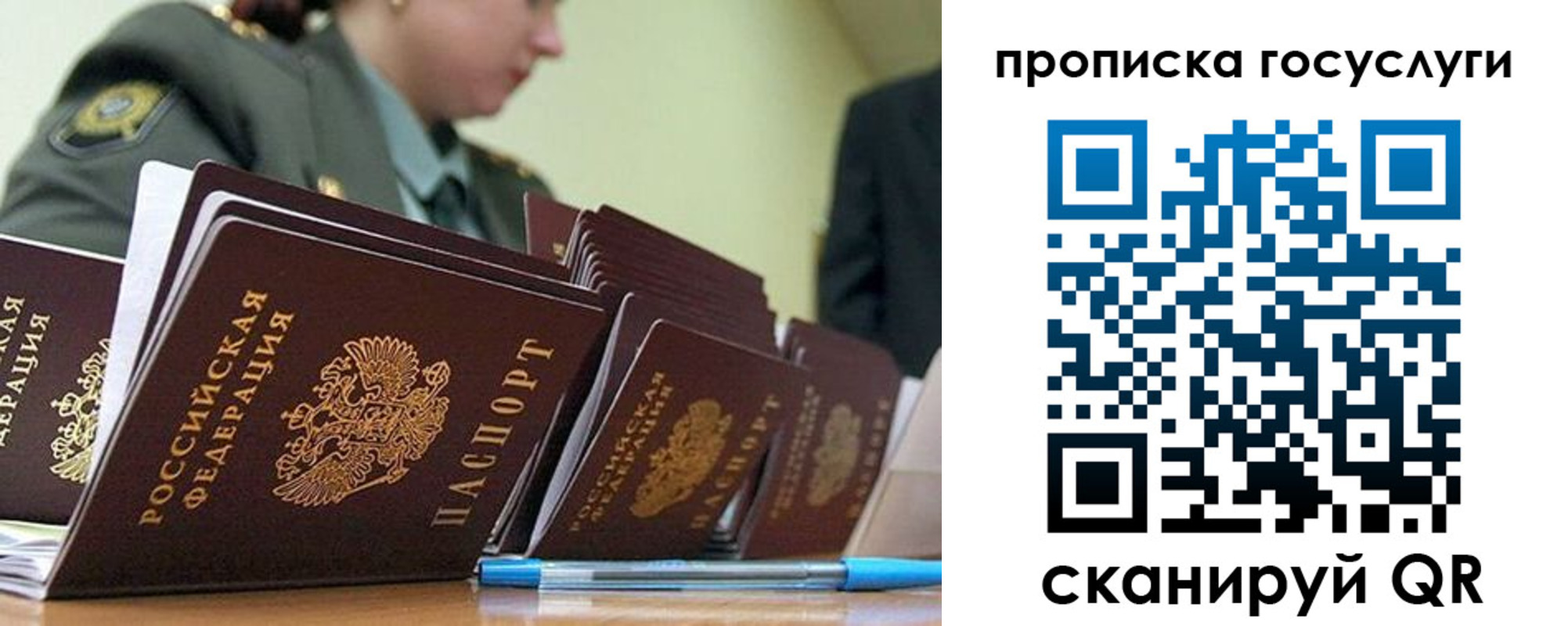 временная регистрация поиск в Петропавловске-Камчатском